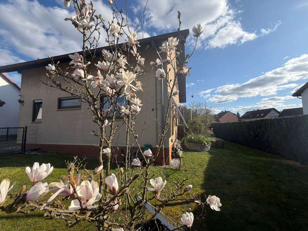 Thumbnail-Haus zum Kaufen in Wöllstadt 395.000,00 € 120 m²