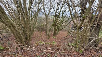 Thumbnail-RUHEOASE ZUM ENTSPANNEN