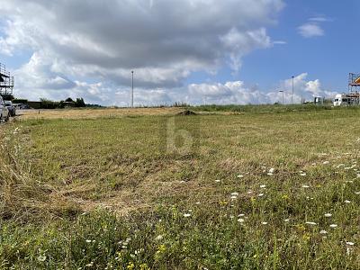 Thumbnail-WO DIE TRÄUME WAHR WERDEN KÖNNEN