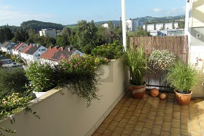 Thumbnail-TOP ZUSTAND UND TRAUMLAGE