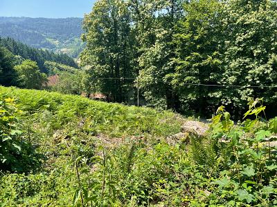 Thumbnail-ERSCHAFFEN SIE IHREN WOHNTRAUM IM GRÜNEN