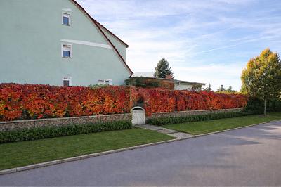 Thumbnail-KEINE KÄUFERPROVISION FÄLLIG!