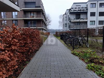 Thumbnail-ARBEITEN BEI TESLA, WOHNEN AM WASSER