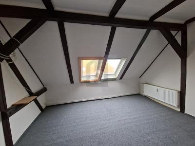 Thumbnail-STARKE GEMEINSCHAFT AM WALDBAD