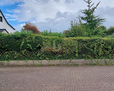 Thumbnail-SONNENSTÜCK - UNBEBAUT UND NAHERHOLUNG