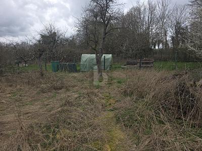 Thumbnail-LÄNDLICH, NATURNAH, ERHOLUNG PUR