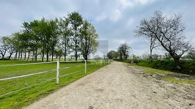 Thumbnail-RESTHOF AM REITERHOF