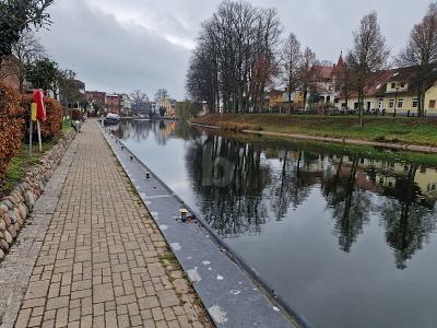 Thumbnail-FLUßAUFWÄRTS IM BLICK