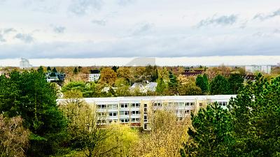 Thumbnail-FIRMEN DOMIZIL OBERHALB DER BAUMKRONEN