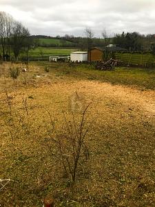 Thumbnail-PERFEKT FÜR FAMILIEN UND OSTSEELIEBHABER