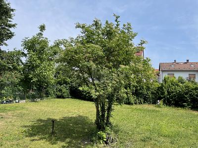 Thumbnail-TRAUM VOM EIGENHEIM VERWIRKLICHEN