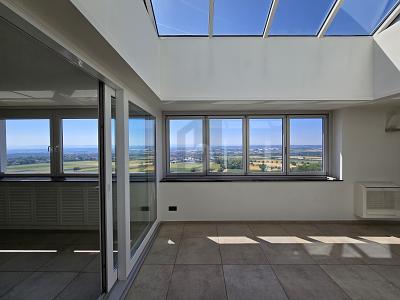 Thumbnail-PENTHOUSE SUCHT KAPITALANLEGER