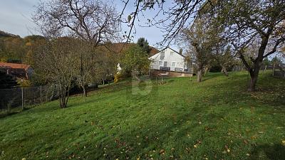 Thumbnail-GROß UND GÜNSTIG