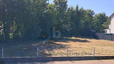 Thumbnail-SCHÖN IM GRÜNEN