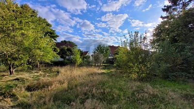 Thumbnail-IHR TINY-HAUS BEGINNT HIER