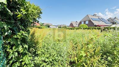 Thumbnail-WIESENQUARTIER FÜR DIE BESONDERE BEBAUUNG