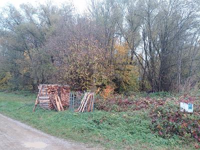 Thumbnail-IDYLLISCHES WALDSTÜCK AM ORTSRAND