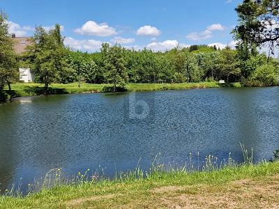 Thumbnail-TOP LAGE IM SÜDSCHWARZWALD