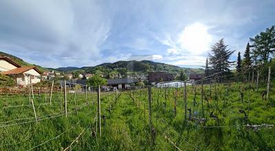 Thumbnail-AUSSICHT & LEBENSQUALITÄT