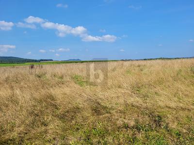 Thumbnail-IHR WEG ZUM EIGENHEIM IN IDYLLISCHER EIFFELLAGE