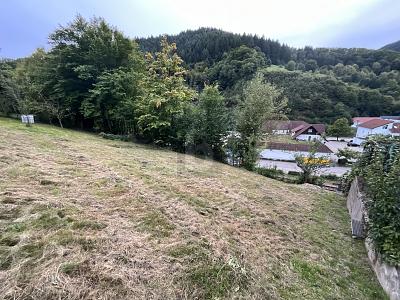 Thumbnail-SCHÖNE AUSSICHTEN FÜR EIN GEMEINSAMES ZUHAUSE