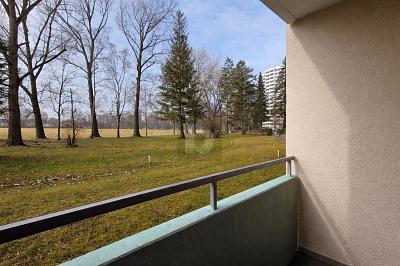 Thumbnail-RUHIGE LAGE MIT BLICK INS GRÜNE