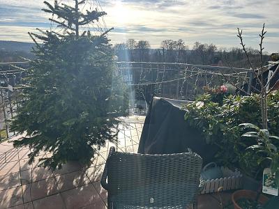 Thumbnail-IM ZENTRUM MIT BALKON & AUSSICHT