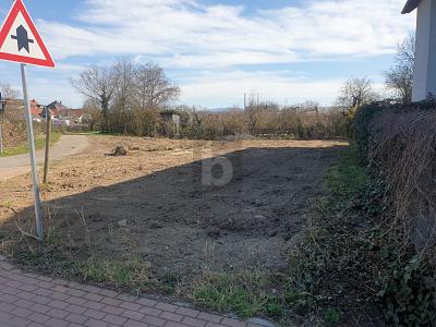 Thumbnail-KAISERSTÜHLER IDYLLE TRIFFT FREIBURGER STADTNÄHE