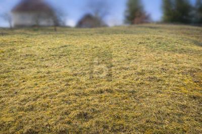 Thumbnail-NATURNAH BAUEN IN BAIERSBRONN