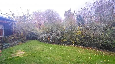 Thumbnail-SELTENE GRÜNE OASE IN BESTLAGE