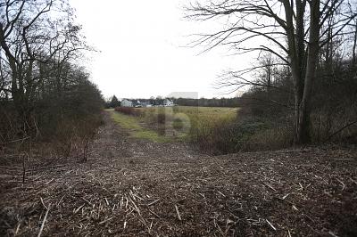 Thumbnail-PERFEKT FÜR SOLAR & WINDPARK