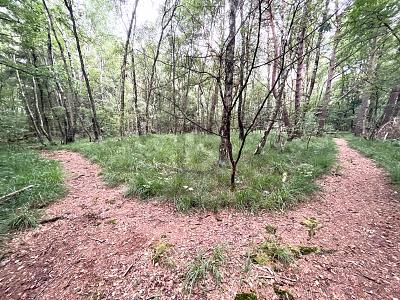 Thumbnail-ATTRAKTIV FÜR FREIZEIT ODER IDEAL FÜR PROJEKTIERER