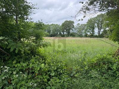 Thumbnail-IDEAL FÜR FREIZEIT IN DER NATUR