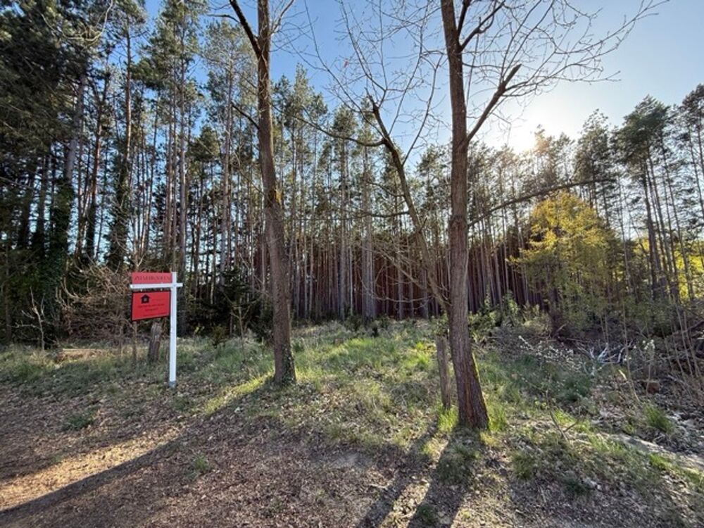 Thumbnail-PROVISIONSFREI! Ruhig gelegenes Baugrundstück am Waldrand – fußläufig zum Bahnhofnahe Wolziger