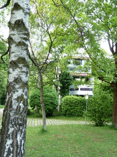 Gartenansicht