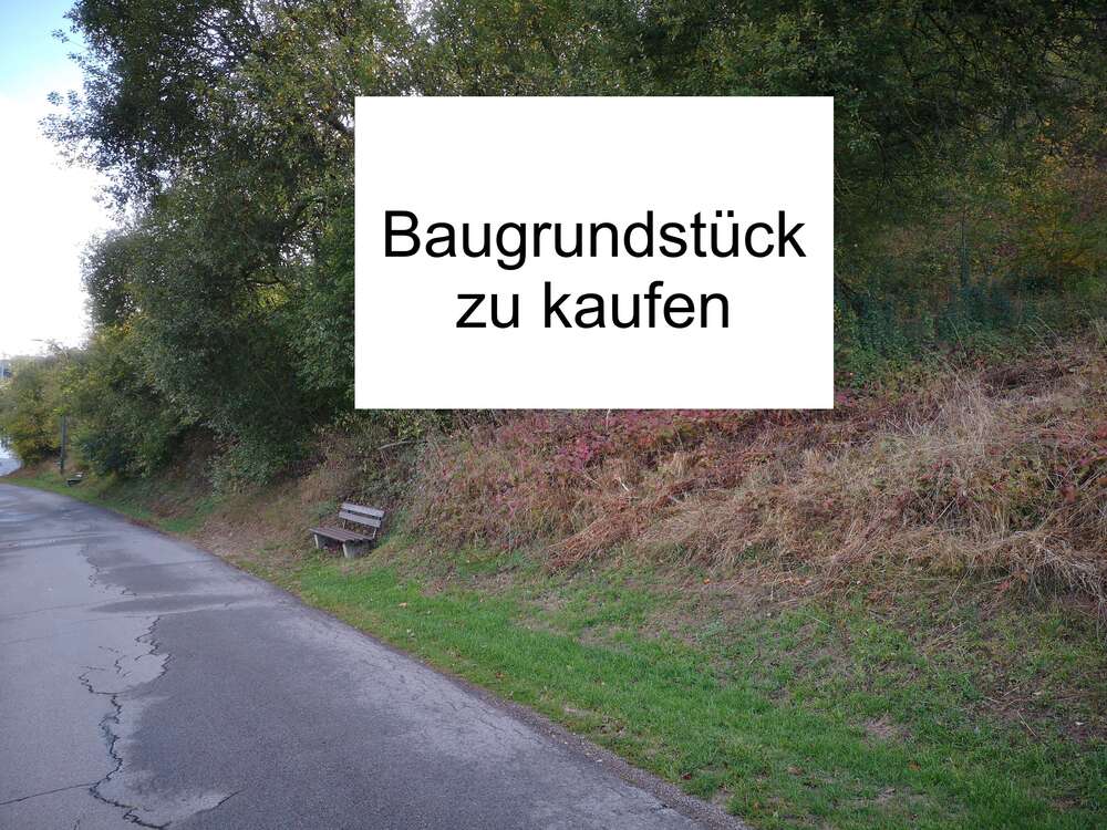 Thumbnail-Grundstück zu verkaufen in Schönecken 17.500,00 € 801 m²