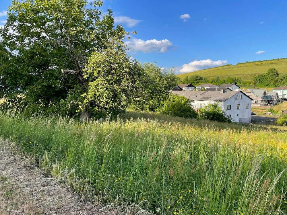 Thumbnail-Grundstück zu verkaufen in Burbach 22.000,00 € 489 m²