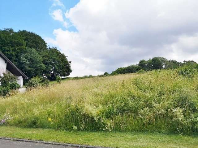 Thumbnail-Grundstück zu verkaufen in Balesfeld 25.000,00 € 521 m²