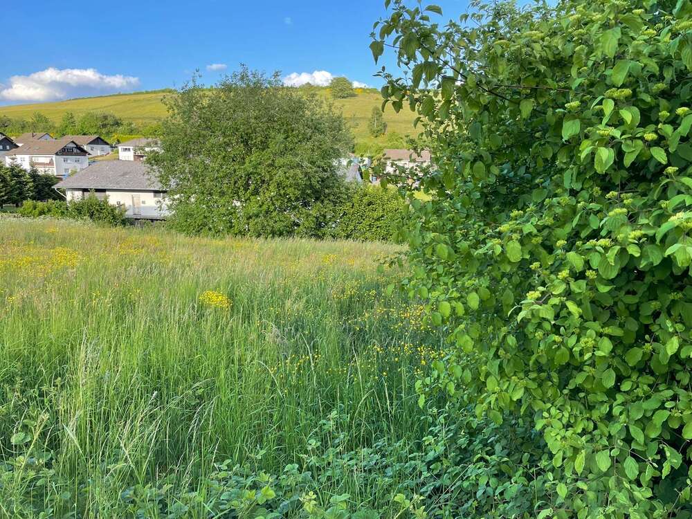 Thumbnail-Grundstück zu verkaufen in Burbach 50.000,00 € 1100 m²