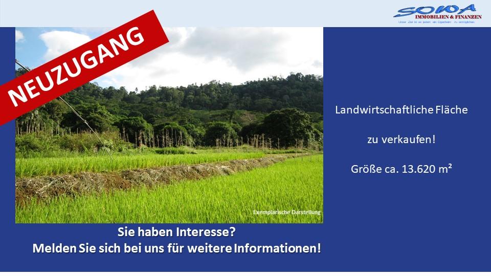 Thumbnail-Großzügige Landwirtschaftsfläche in Untermaxfeld - Ein Objekt von SOWA Immobilien & Finanzen Ihrem Immobilienprofi vor Ort