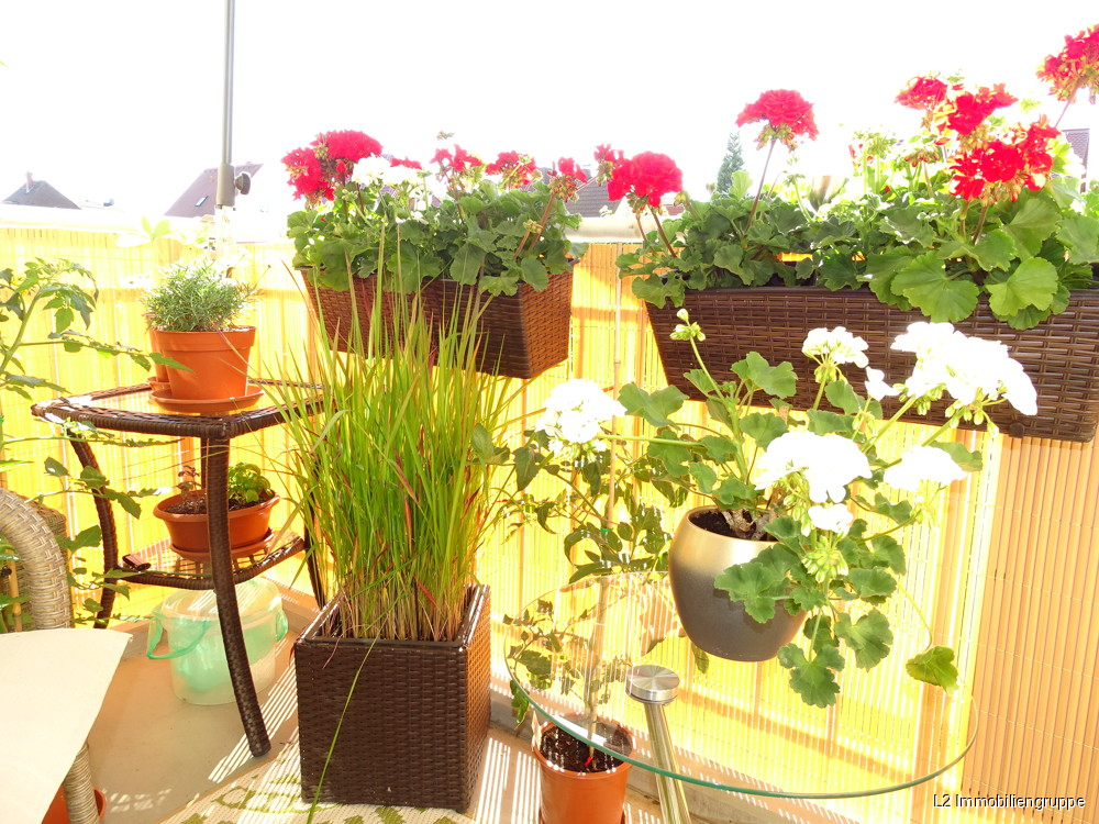 Thumbnail-Gemütliche 3-Zimmer-Eigentumswohnung für Ihre Familie oder als Kapitalanlage