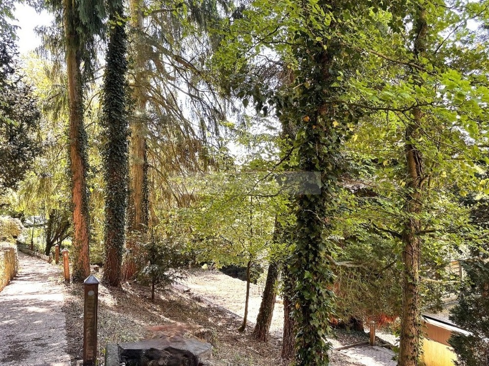 Thumbnail-Rückzug statt Alltag – außergewöhnlich wohnen in Hohensyburg