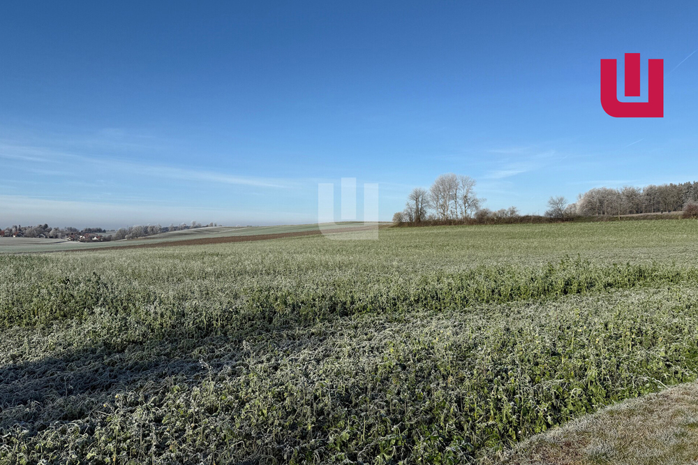 Thumbnail-WINDISCH IMMOBILIEN - Landwirtschaftliche Fläche nähe Mittelstetten