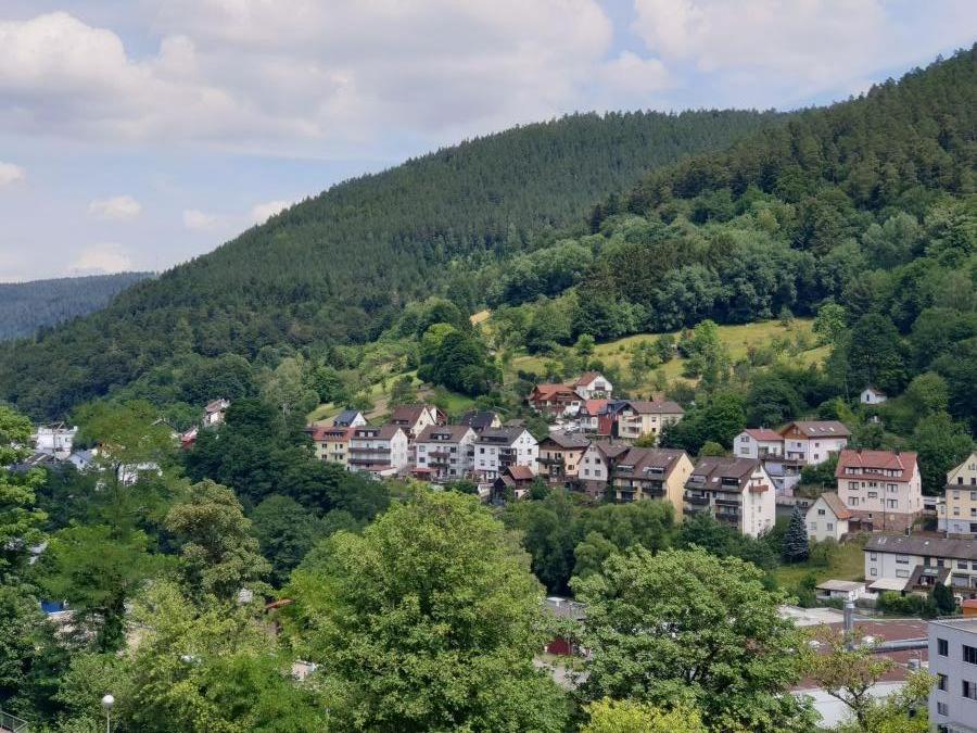 Thumbnail-Helle 3-Zimmer-Altbau-Wohnung in zentrumsnaher Aussichtslage (Mietdauer: min. 4 Jahre)