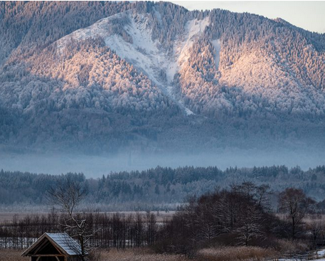 Thumbnail-Provisionsfrei* Wohnen & Arbeiten München - Garmisch-Partenkirchen