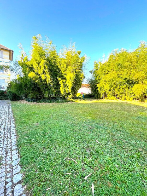 Thumbnail-Frisch saniert: Stilvolle Wohnung mit Terrasse und Stellplatz