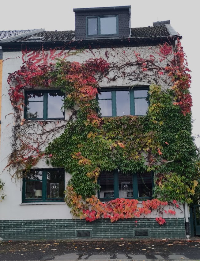 Haus von vorne
