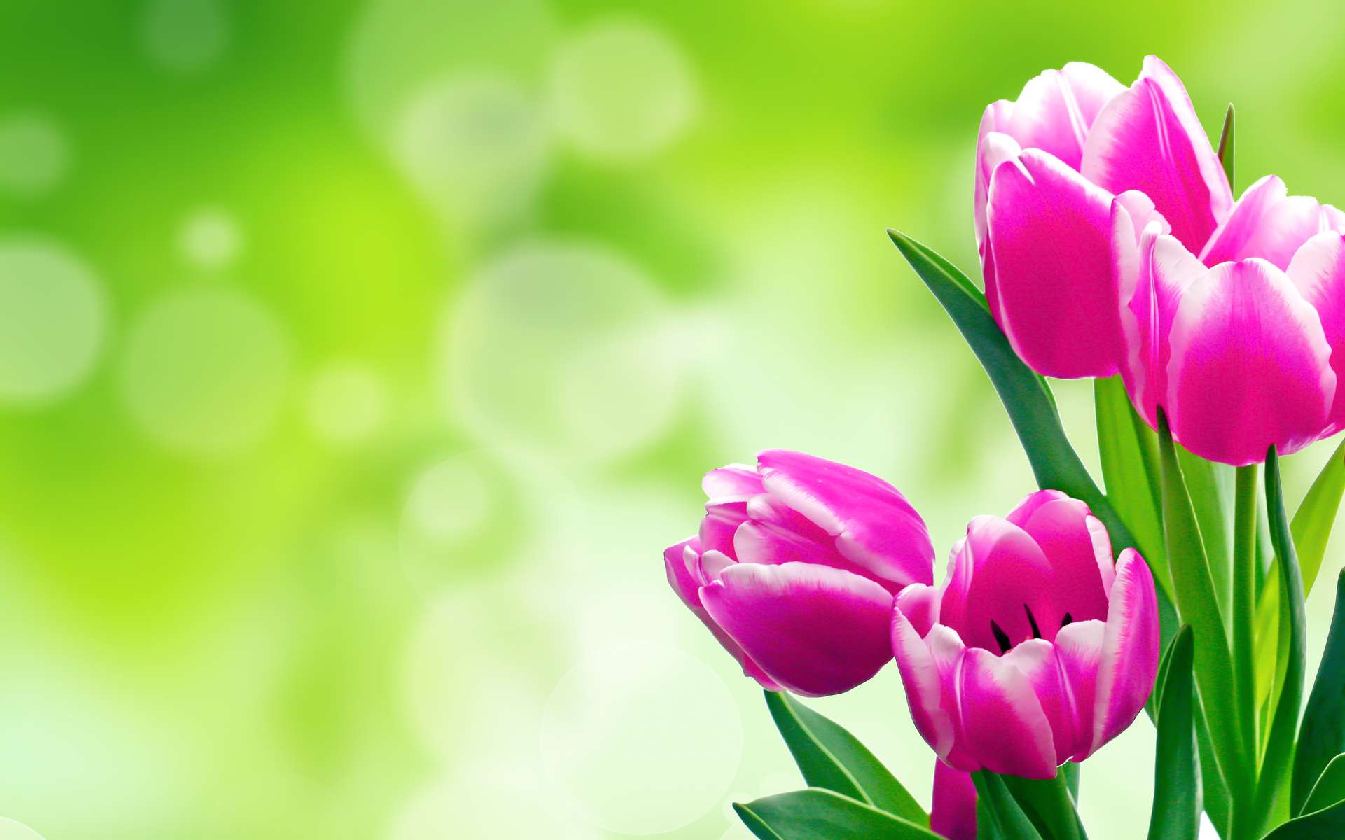 Thumbnail-Haus zum Kaufen in Ottendorf-Okrilla 299.500,00 € 131 m²