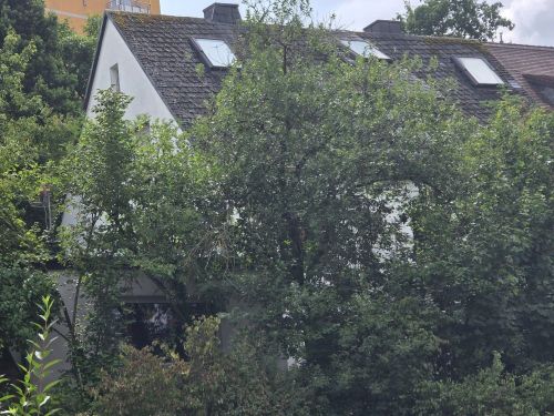 Thumbnail-Kleiner versteckter Traum mit viel Grünfläche! Mehrfamilienhaus in 97074 Würzburg-Frauenland (ID 92)