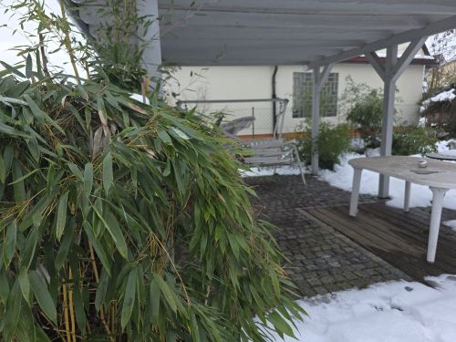 Thumbnail-3-Zimmer-Mietwohnung mit Stellplatz und Garage sowie Garten mit Freisitz und Teich sowie Wasserlauf in 97456 Sennfeld (1592)